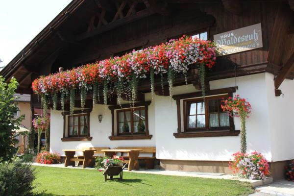 Waldesruh Apartment Niederthai Exterior photo